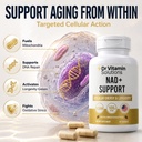 nmn-nad-supplement-500mg-with-resveratro-2.jpg