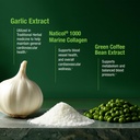 bell-healthy-blood-pressure-support-natu-4.jpg