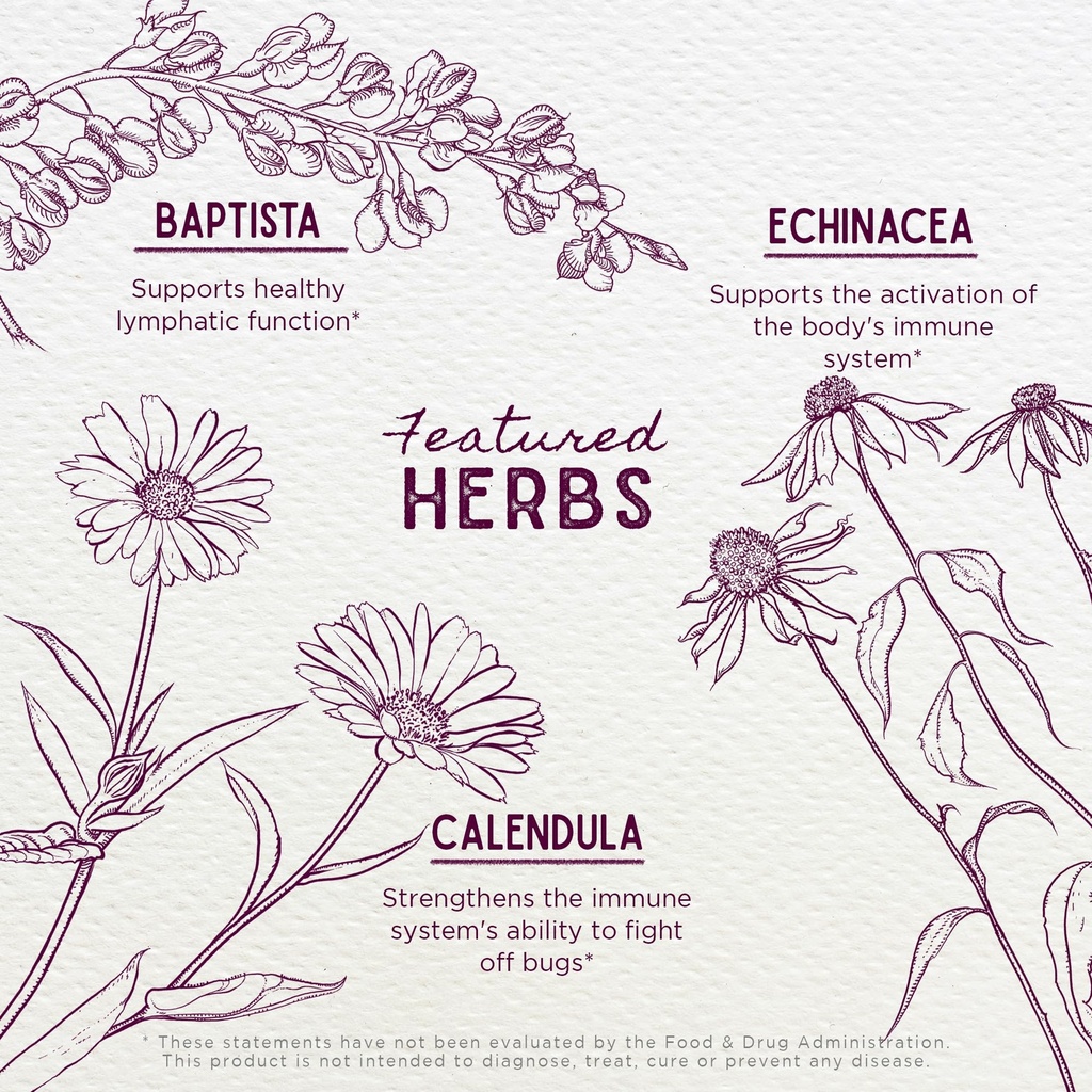 wishgarden-herbs-ear-be-well-kit-herbal--4.jpg