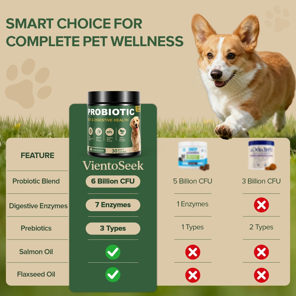 probiotics-for-dogs-dog-probiotics-for-y-4.jpg