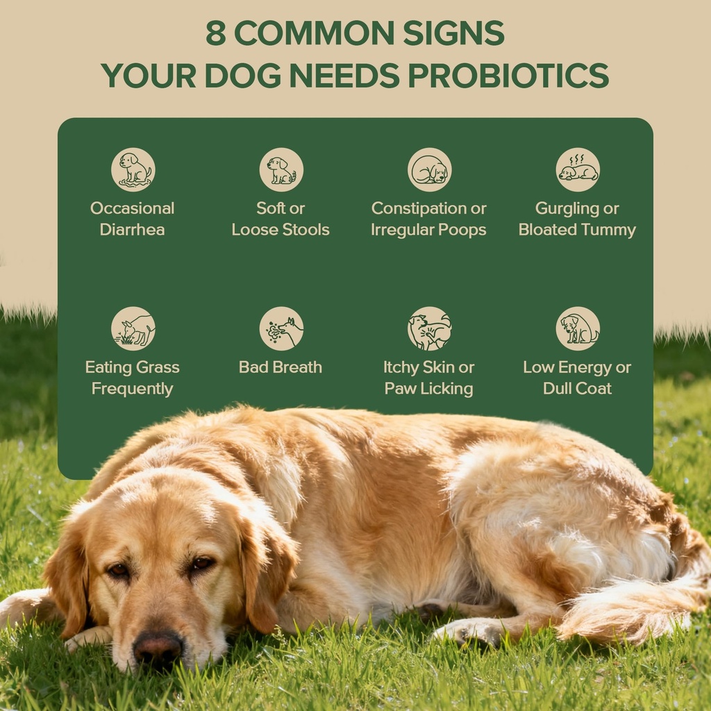 probiotics-for-dogs-dog-probiotics-for-y-6.jpg