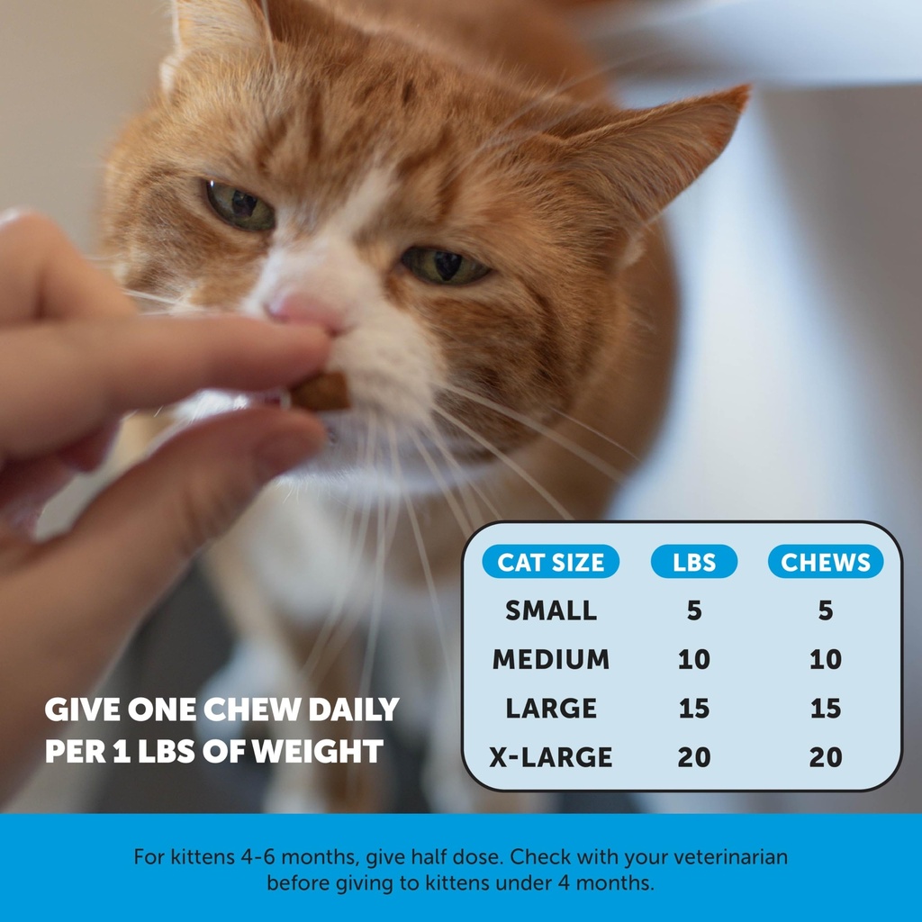 cat-skin-coat-supplement-crunchy-creamy--6.jpg