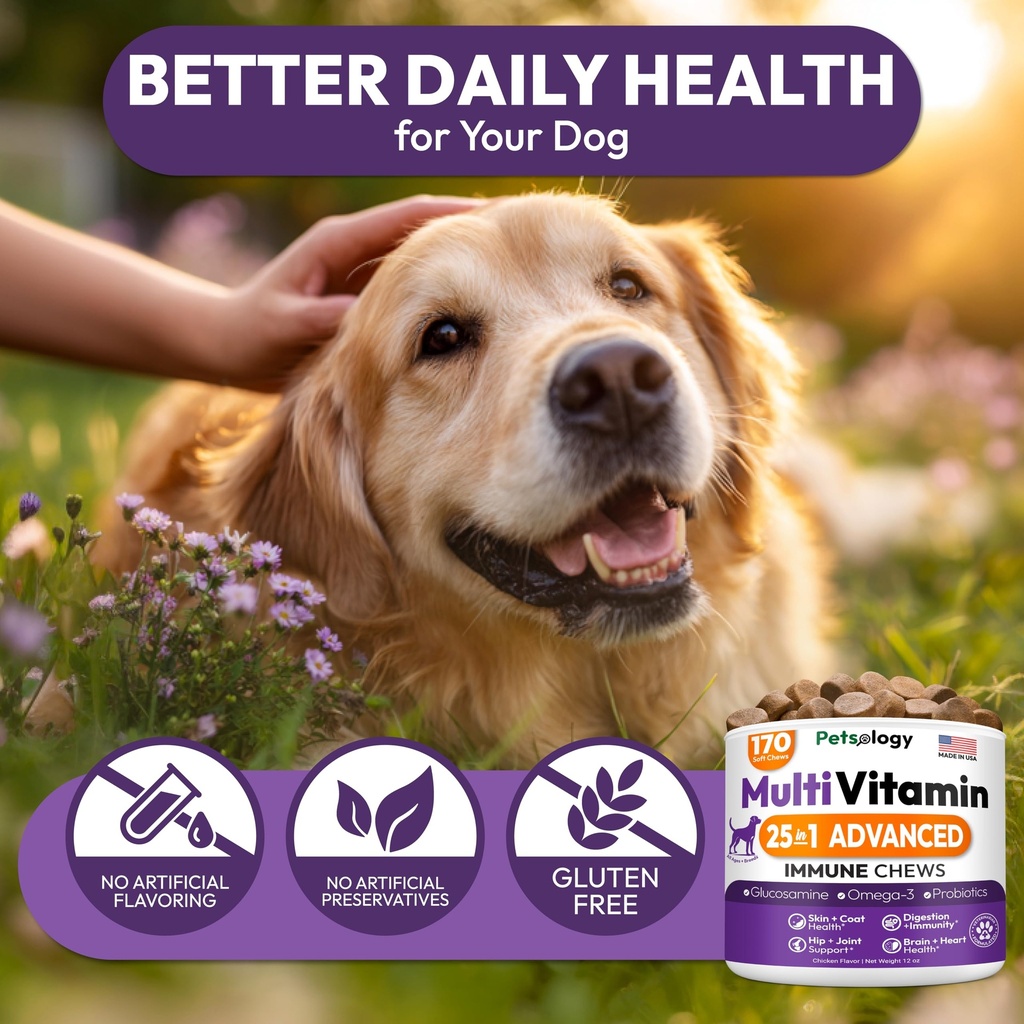 dog-multivitamin-chewable-dog-vitamins-a-6.jpg