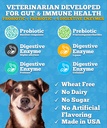 probiotics-for-dogs-dog-probiotics-made--5.jpg