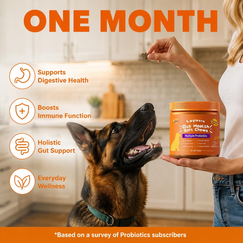 probiotics-for-dogs-support-gut-health-y-3.jpg