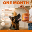 probiotics-for-dogs-support-gut-health-y-3.jpg
