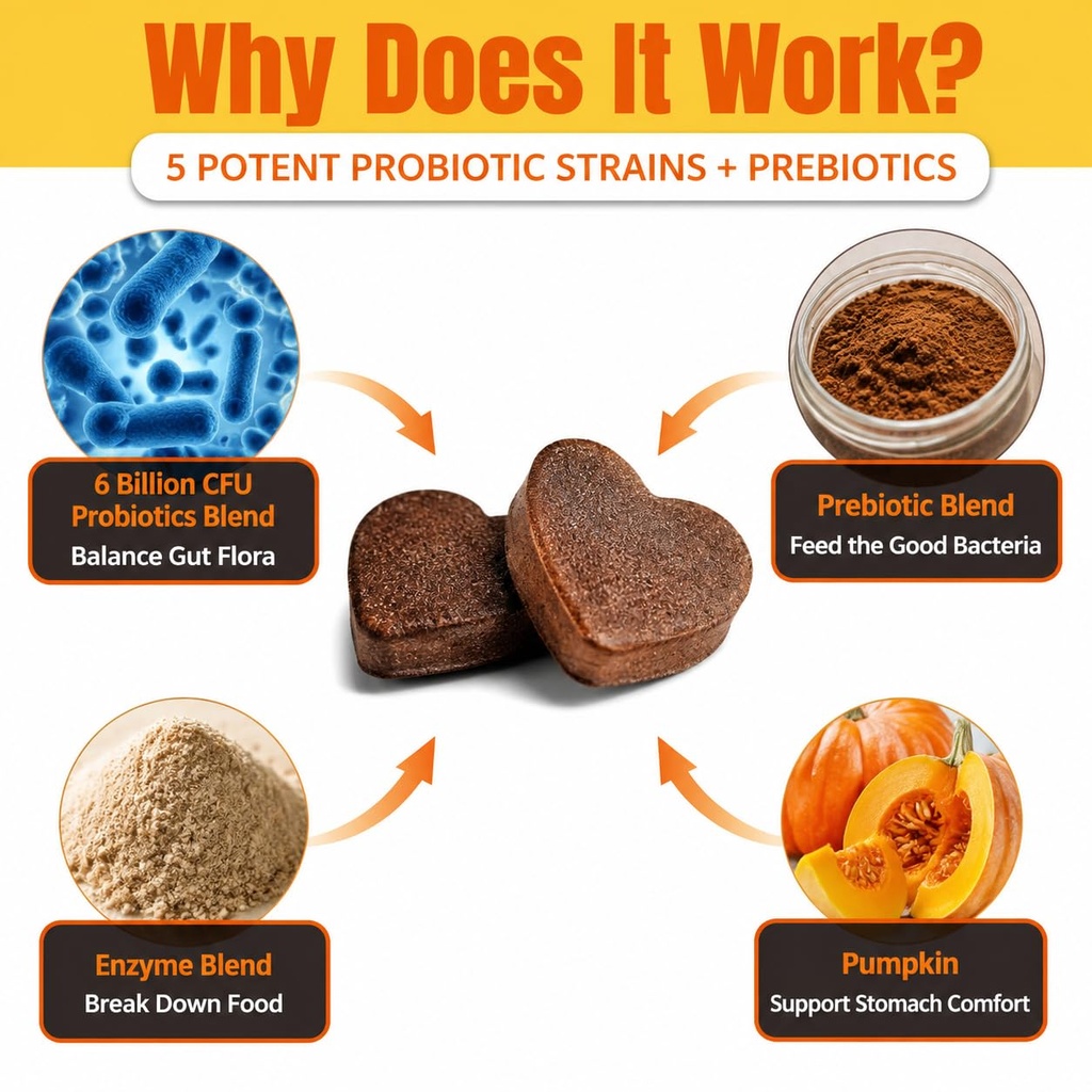probiotics-for-dogs-support-gut-health-y-4.jpg
