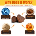 probiotics-for-dogs-support-gut-health-y-4.jpg