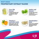 cat-dog-urinary-tract-infection-treatmen-4.jpg