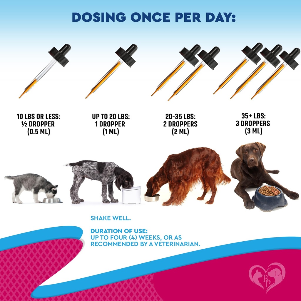 cat-dog-urinary-tract-infection-treatmen-6.jpg