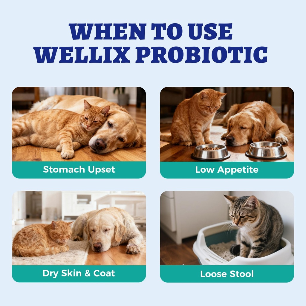 wellix-120ml-liquid-probiotic-for-cats-d-5.jpg