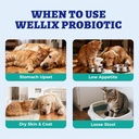 wellix-120ml-liquid-probiotic-for-cats-d-5.jpg