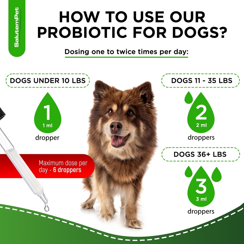 probiotics-for-dogs-liquid-probiotics-fo-5.jpg