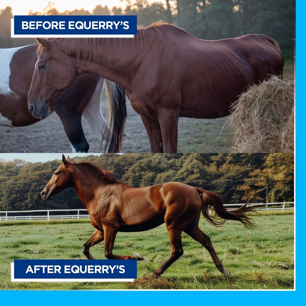 equerry-s-large-animal-probiotic-supplem-6.jpg