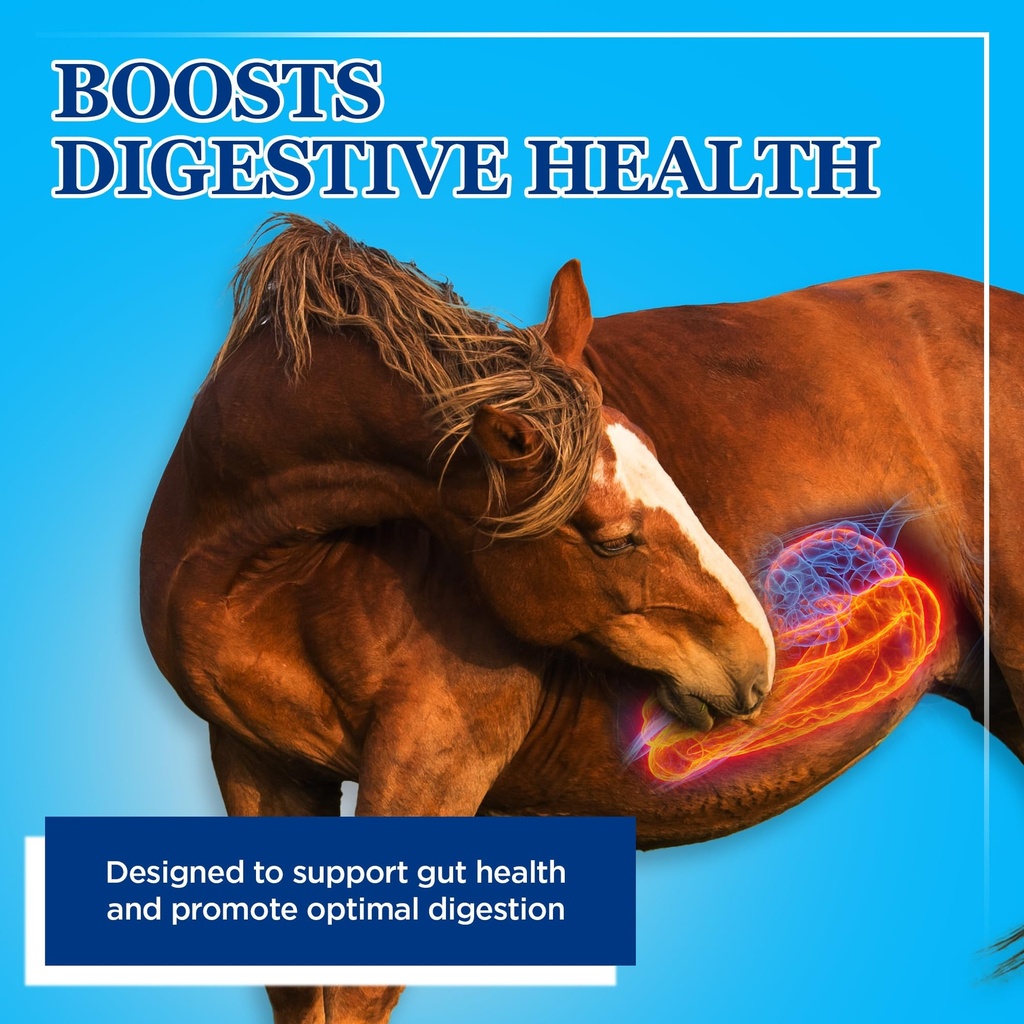 equerry-s-large-animal-probiotic-supplem-2.jpg