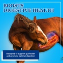 equerry-s-large-animal-probiotic-supplem-2.jpg