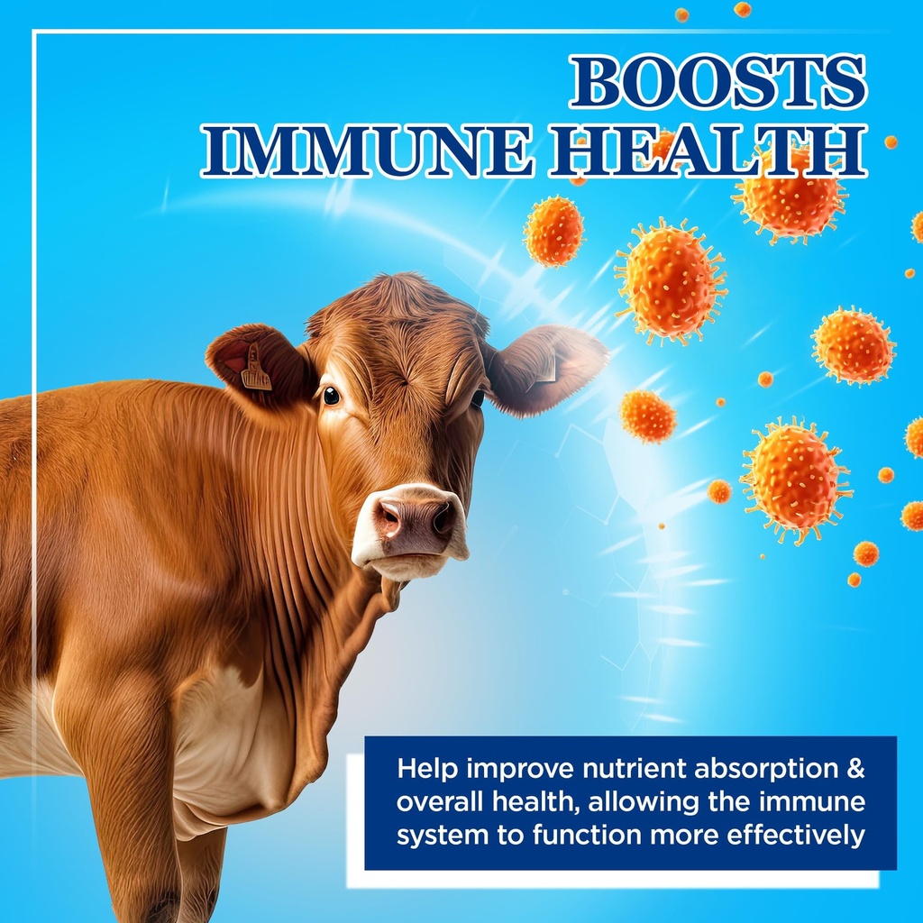 equerry-s-large-animal-probiotic-supplem-4.jpg