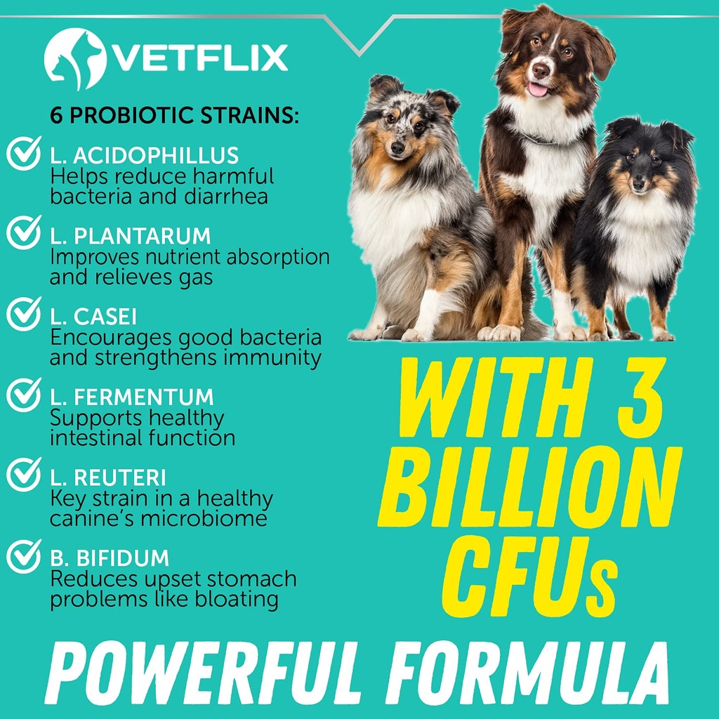 premium-probiotics-liquid-for-dogs-cats--5.jpg