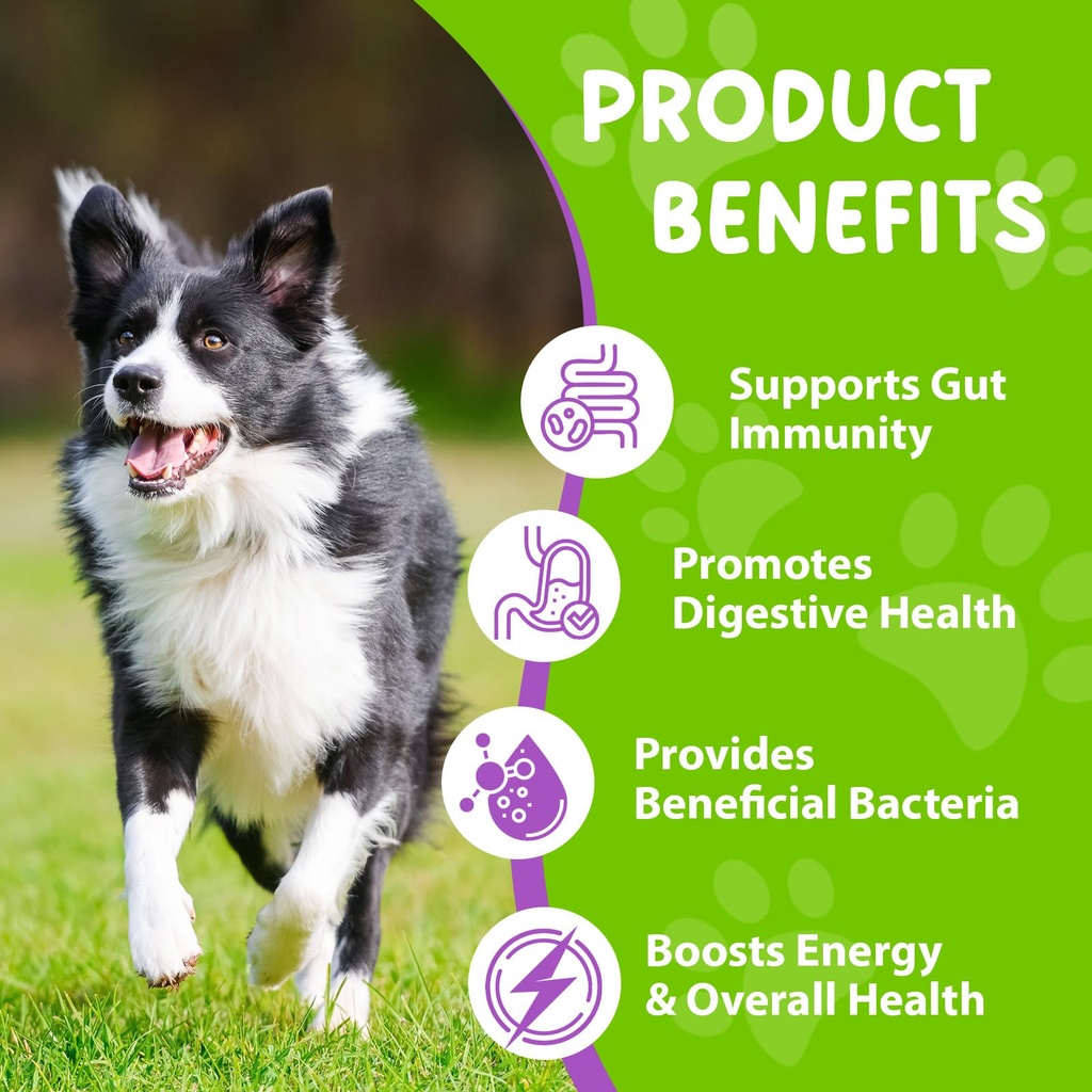 liquid-probiotics-for-dogs-3-in-1-dog-pr-2.jpg