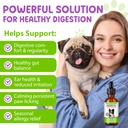 liquid-probiotics-for-dogs-3-in-1-dog-pr-3.jpg