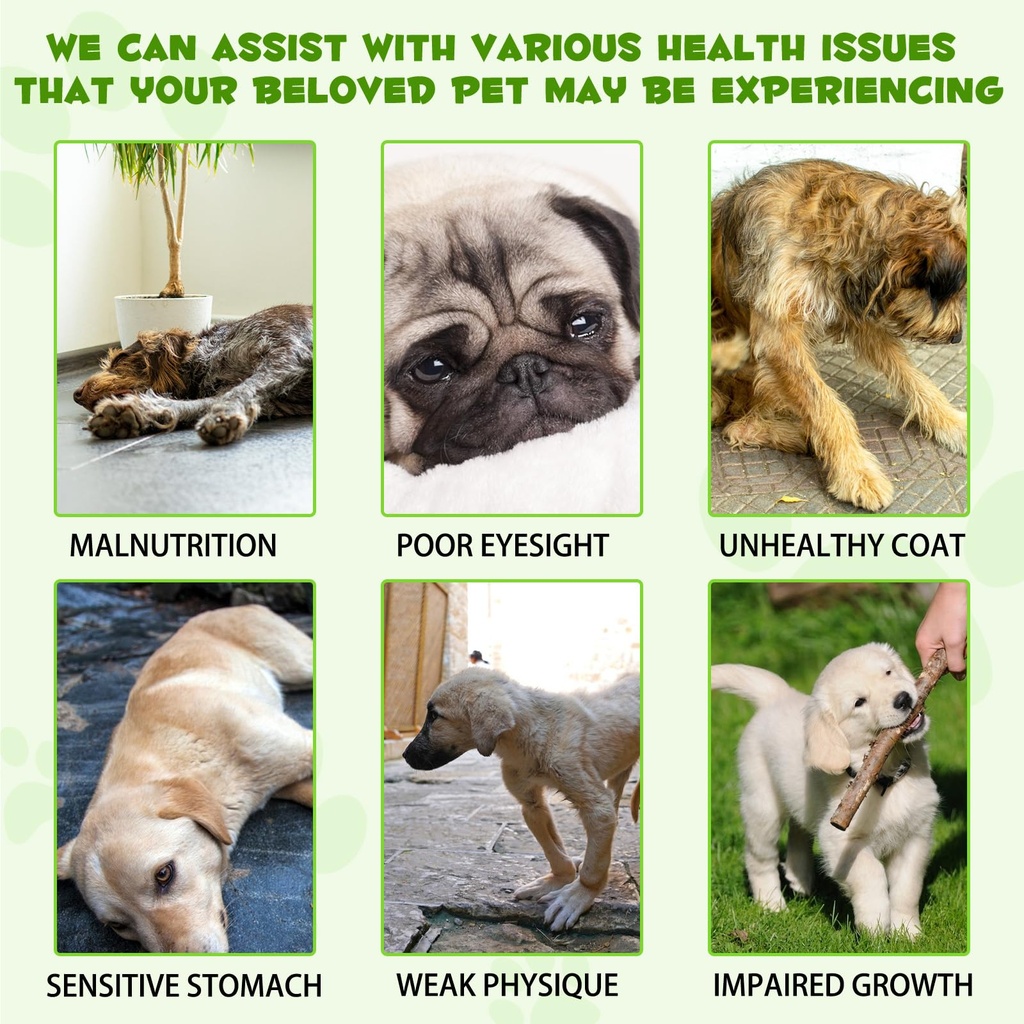 probiotic-for-dogs-natural-3-in-1-dog-pr-5.jpg