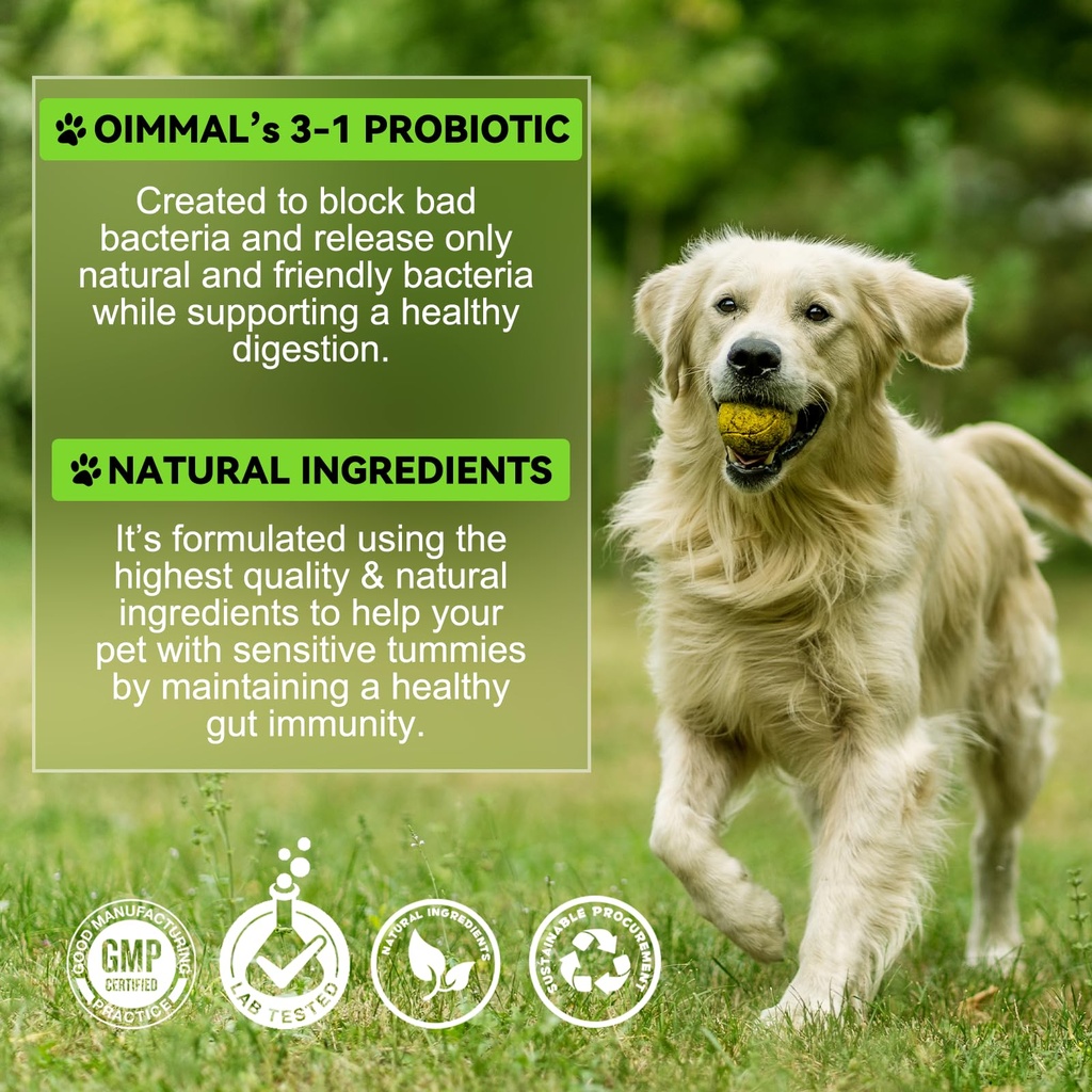 probiotics-for-dogs-3-in-1-dog-probiotic-6.jpg