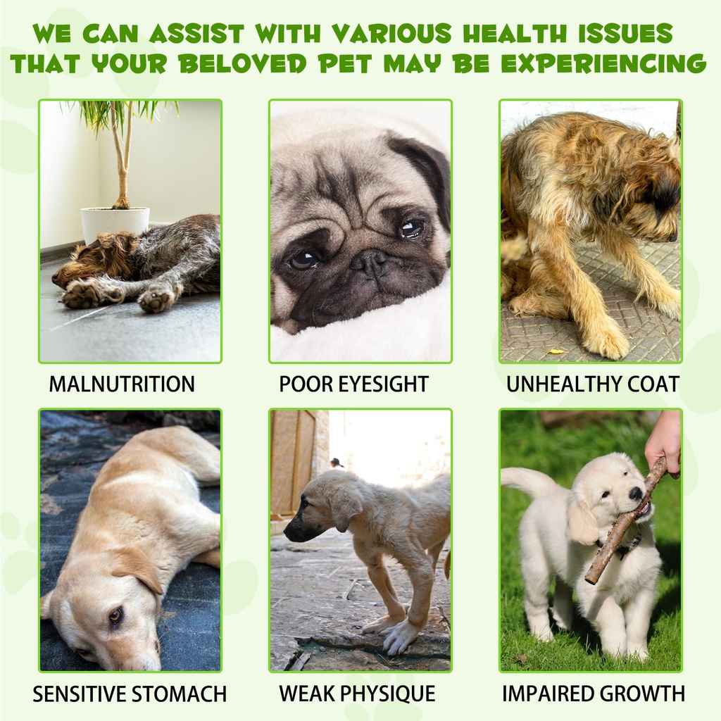 probiotics-for-dogs-3-in-1-dog-probiotic-4.jpg