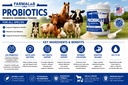 probiotics-dispersable-powder-pet-probio-3.jpg