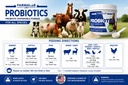 probiotics-dispersable-powder-pet-probio-4.jpg