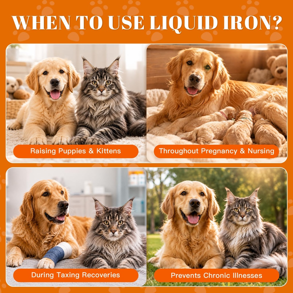 10-in-1-liquid-iron-supplement-for-pets--5.jpg