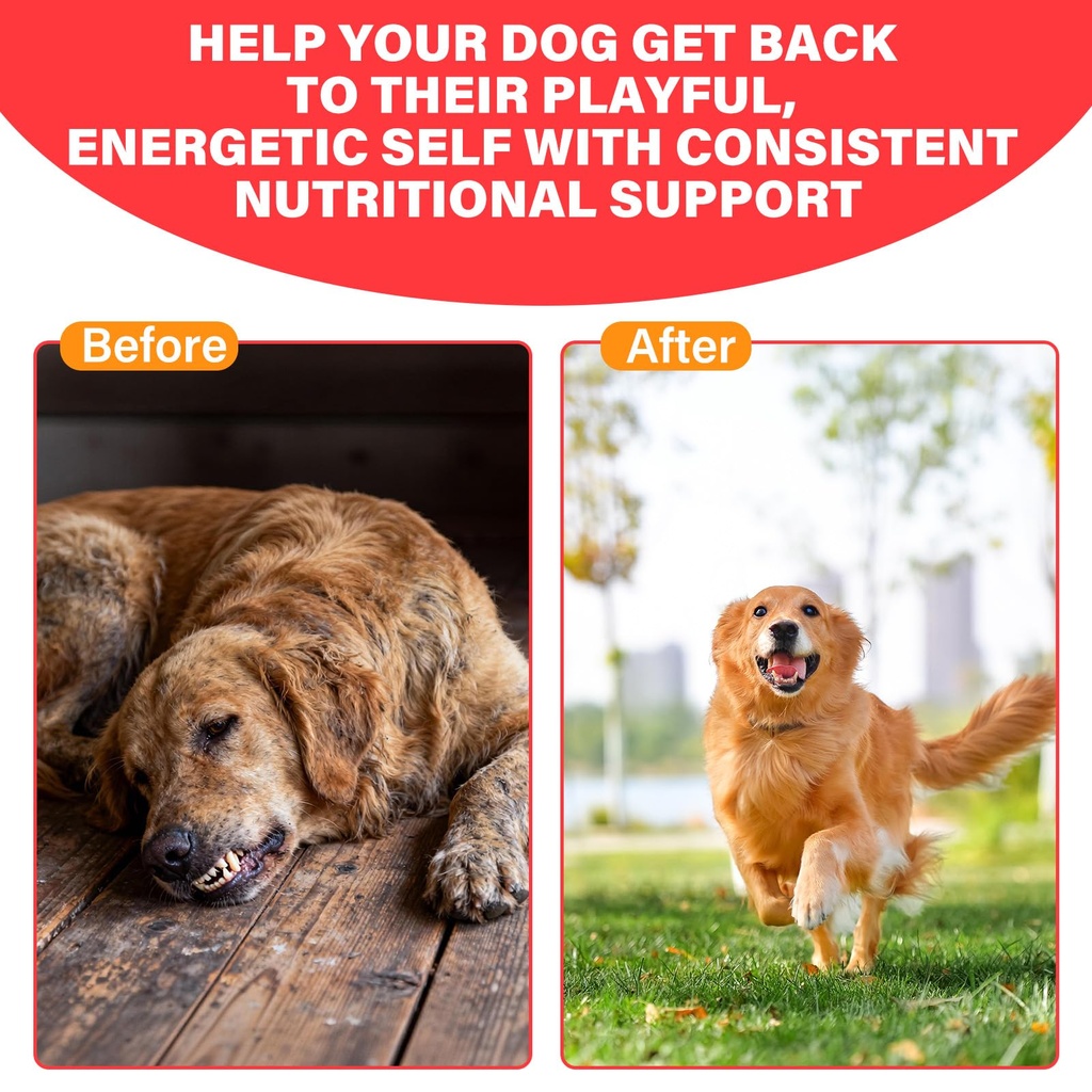 iron-supplement-for-dogs-supports-blood--5.jpg