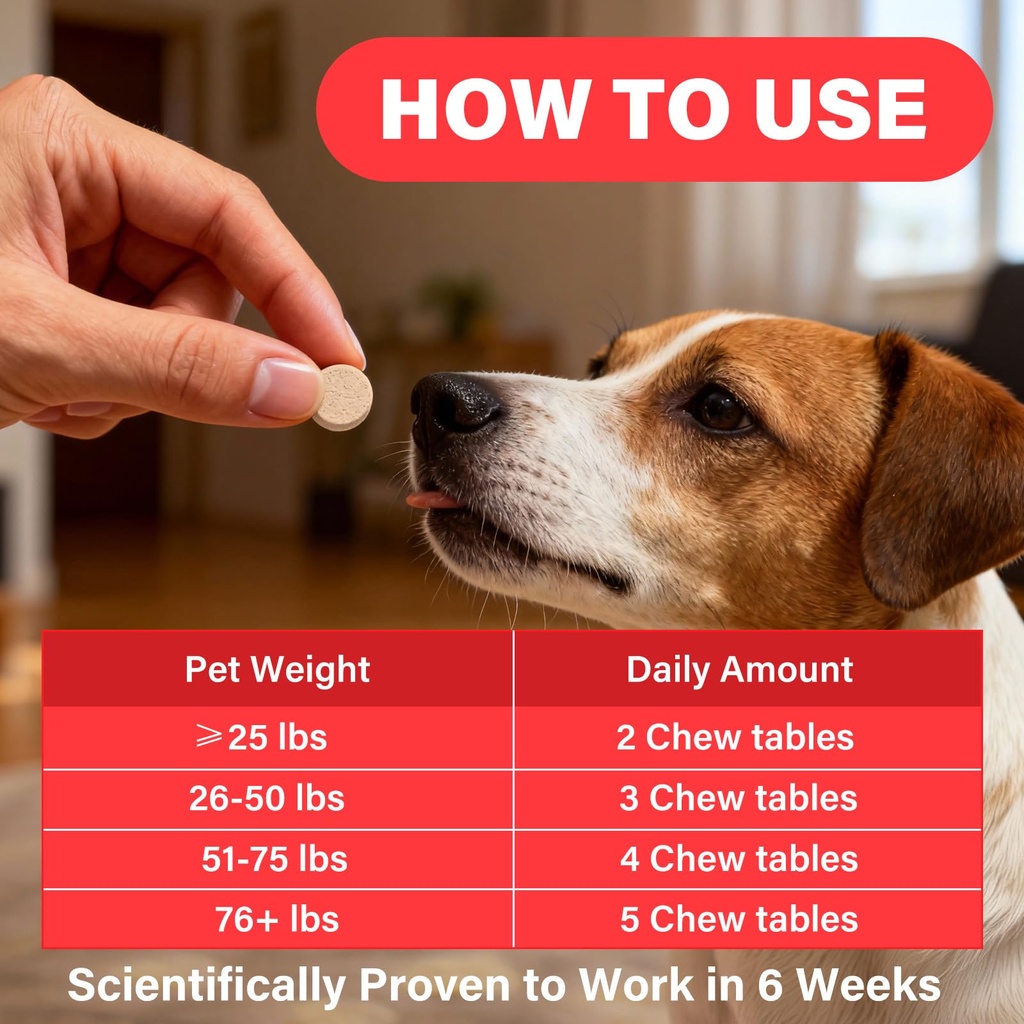 iron-supplement-for-dogs-supports-blood--6.jpg