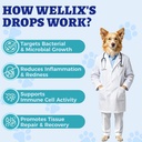 wellix-120ml-natural-antibiotics-for-cat-5.jpg