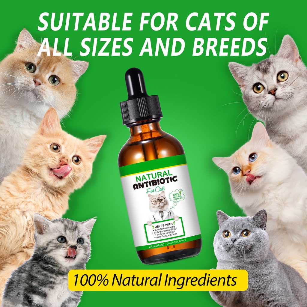 vosifsdiy-cat-antibiotics-antibiotics-fo-6.jpg