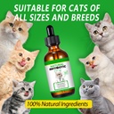 vosifsdiy-cat-antibiotics-antibiotics-fo-6.jpg
