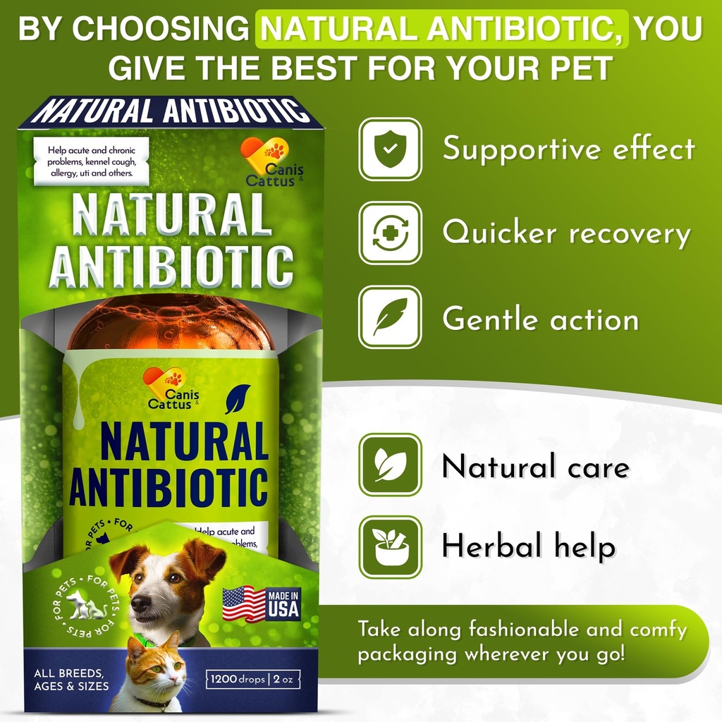 cat-antibiotic-provides-cat-upper-respir-5.jpg