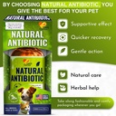 cat-antibiotic-provides-cat-upper-respir-5.jpg