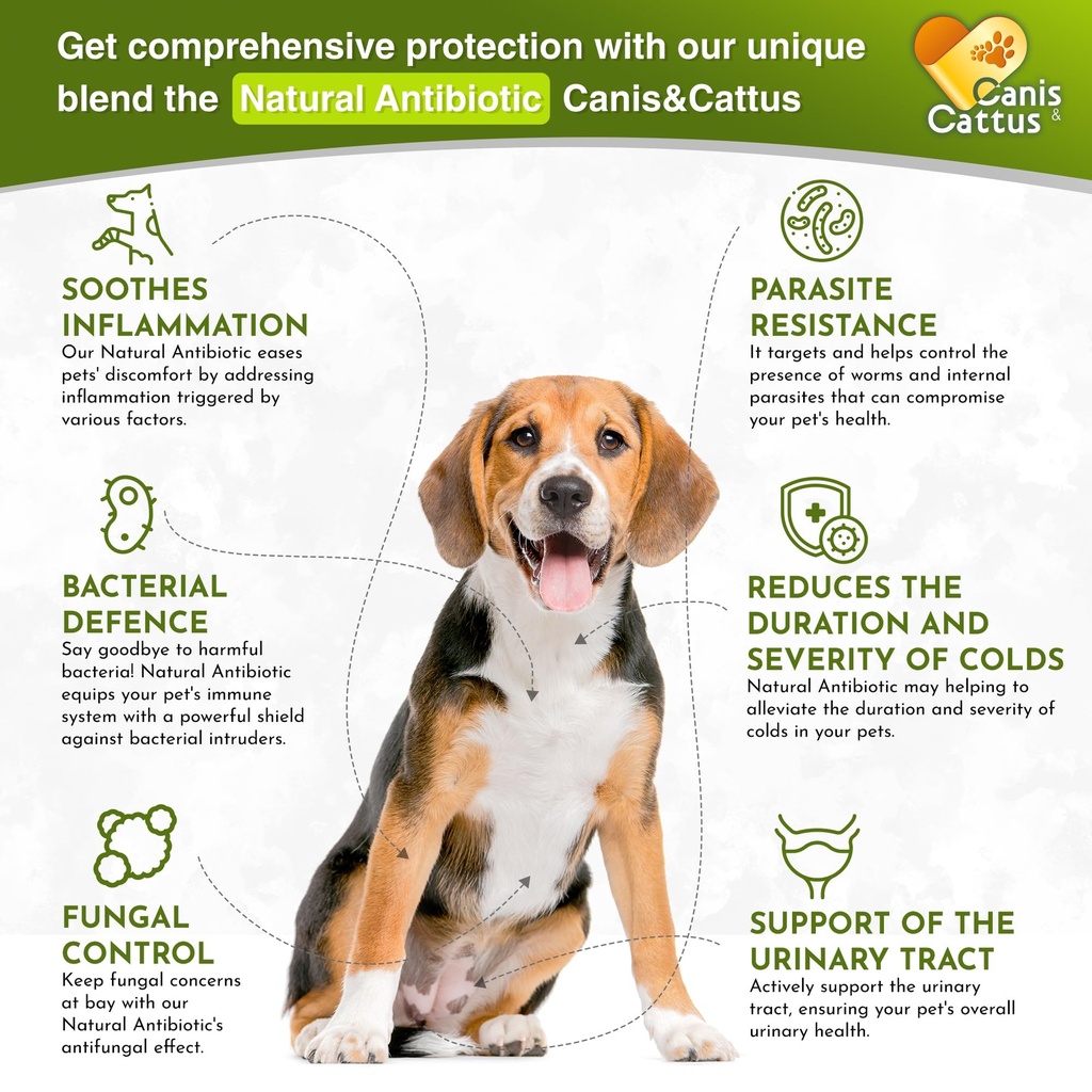 cat-antibiotic-provides-cat-upper-respir-2.jpg