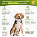 cat-antibiotic-provides-cat-upper-respir-2.jpg