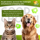 cat-antibiotic-provides-cat-upper-respir-6.jpg