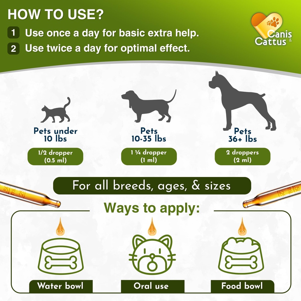 cat-antibiotic-provides-cat-upper-respir-4.jpg