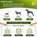 cat-antibiotic-provides-cat-upper-respir-4.jpg