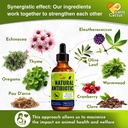 cat-antibiotic-provides-cat-upper-respir-3.jpg