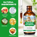 antibiotics-for-cats-natural-antibiotics-2.jpg