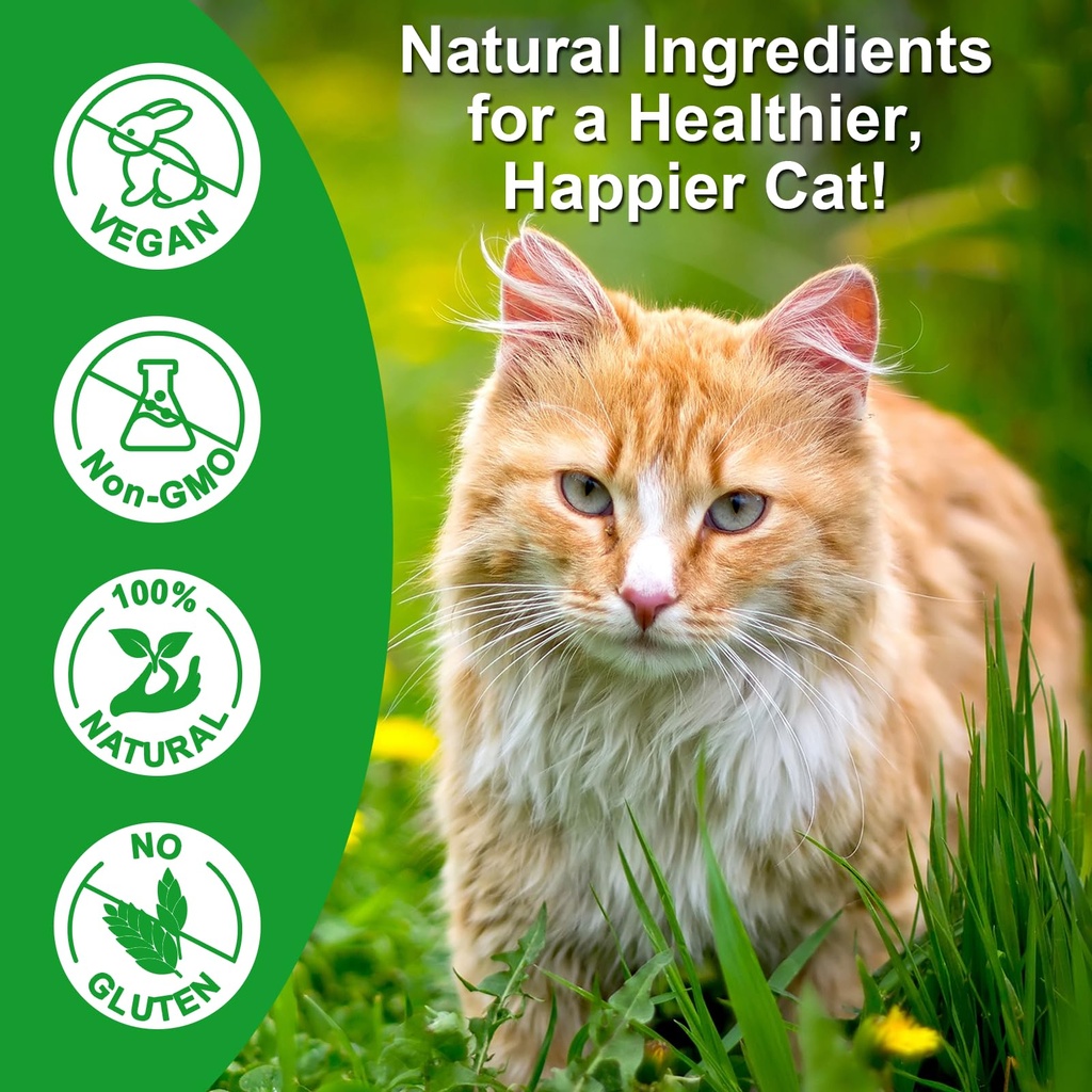 antibiotics-for-cats-natural-antibiotics-5.jpg
