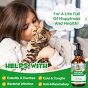 antibiotics-for-cats-natural-antibiotics-6.jpg