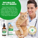 antibiotics-for-cats-natural-antibiotics-4.jpg