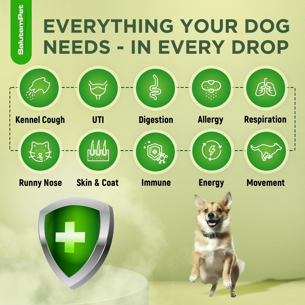 natural-antibiotics-for-dogs-and-puppies-2.jpg