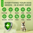 natural-antibiotics-for-dogs-and-puppies-2.jpg