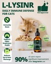 antibiotics-for-cats-cat-antibiotic-drop-2.jpg